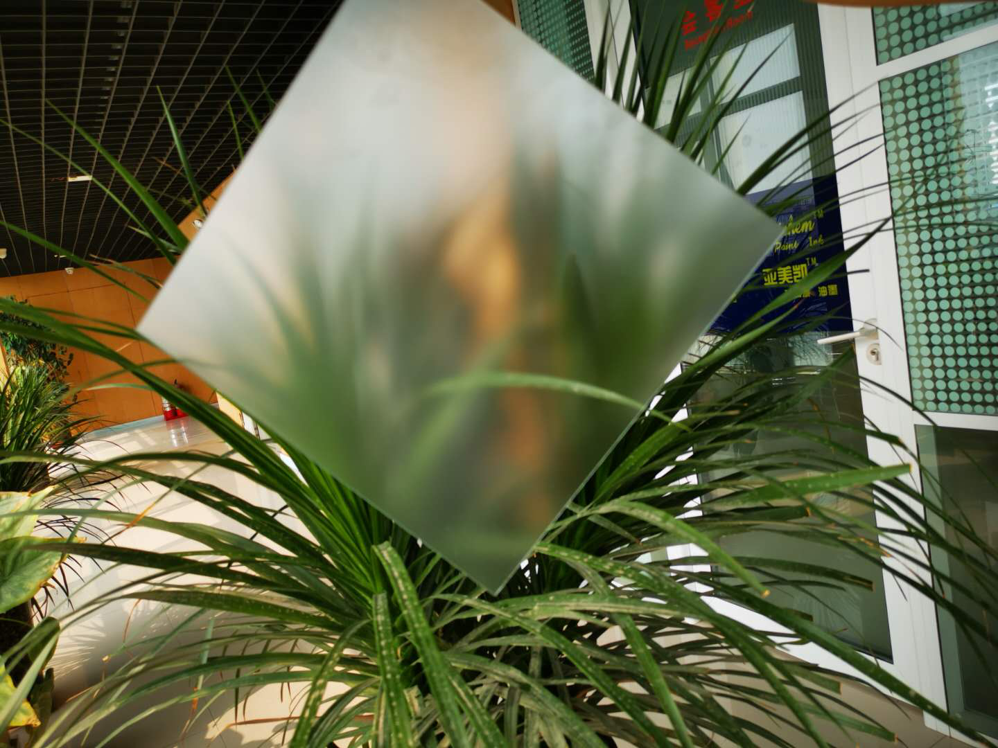 肌肤砂宝威·体育